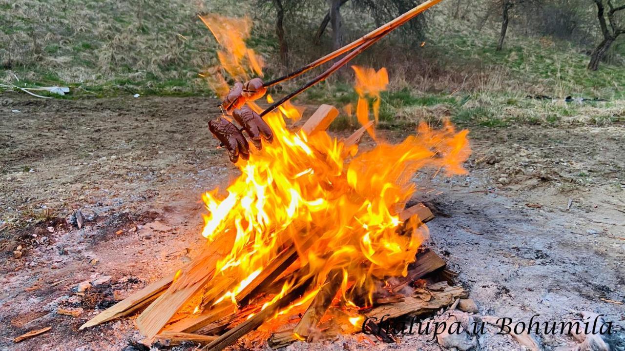 Chalupa U Bohumila Rybna nad Zdobnici Exteriör bild