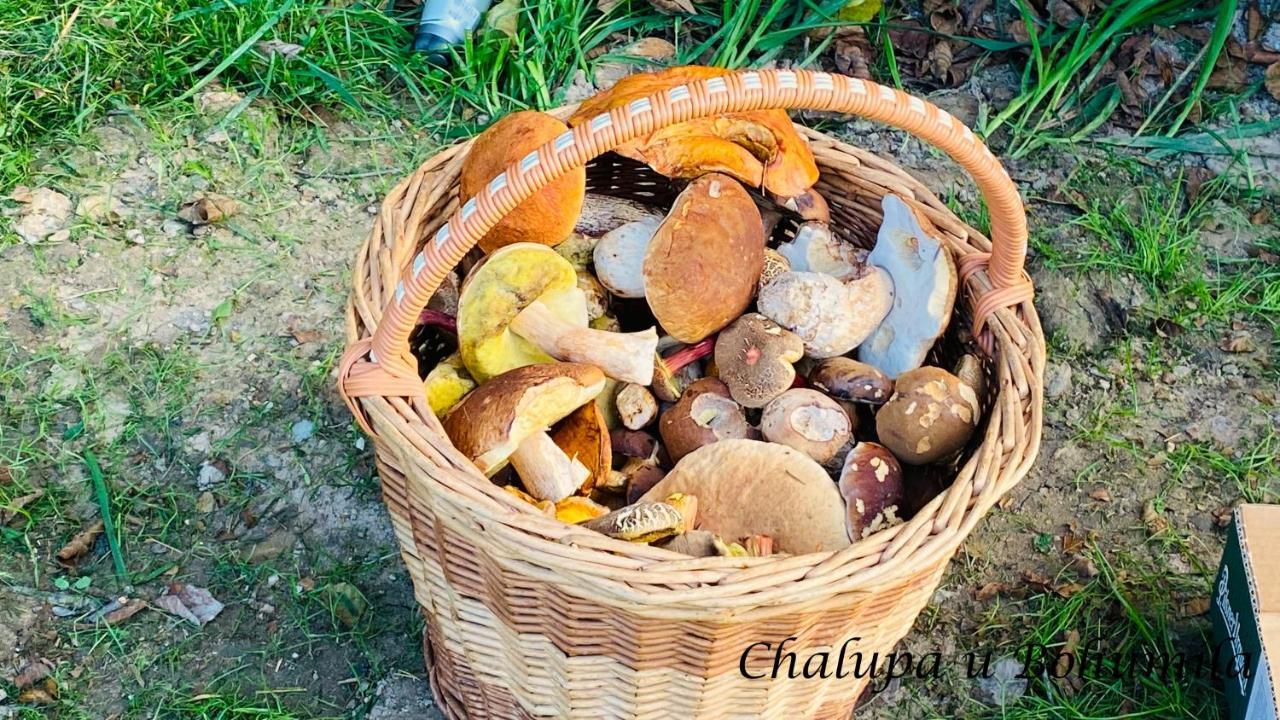 Chalupa U Bohumila Rybna nad Zdobnici Exteriör bild